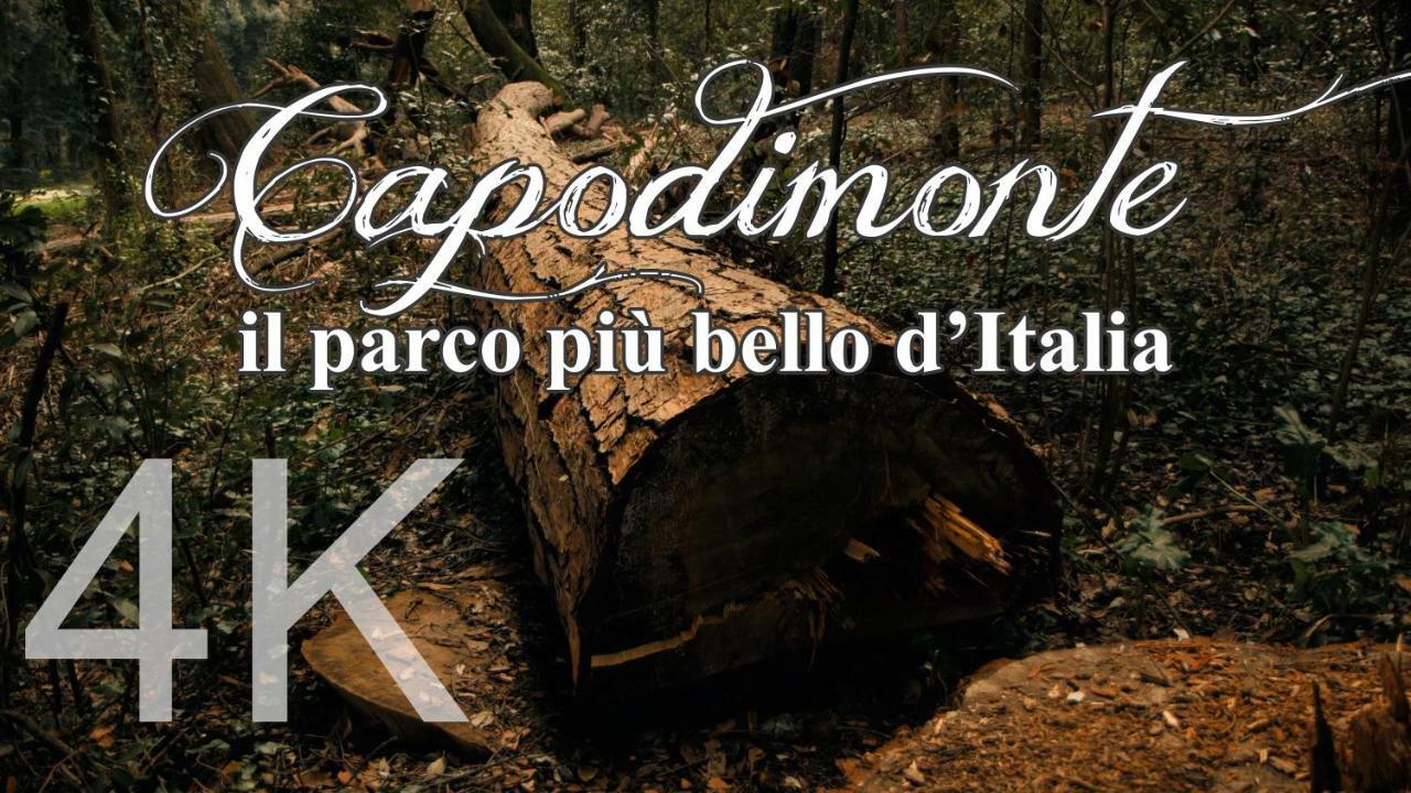 Alla Corte Del Re Dimora Storica Neapel Exterior foto